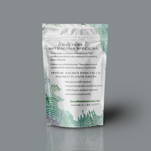 Load image into Gallery viewer, Green Oven