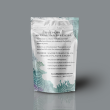 Load image into Gallery viewer, White Maeng Da